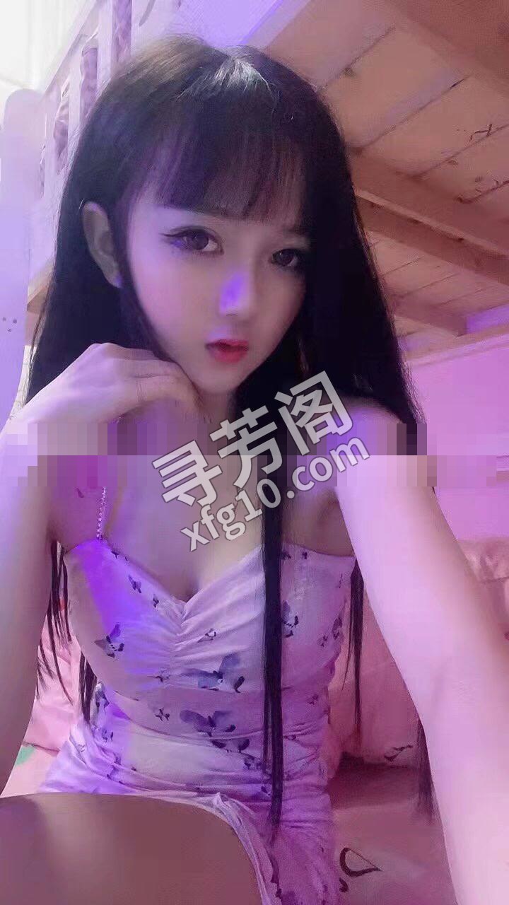 d 在禅城 4