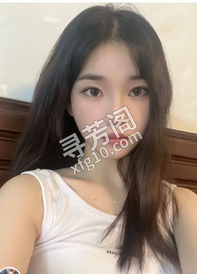 金阳 600 2