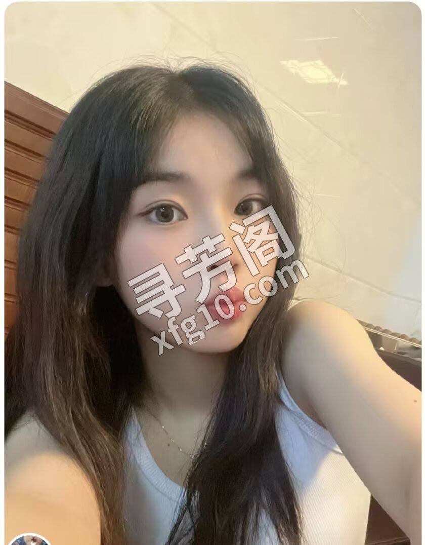 金阳 600 3