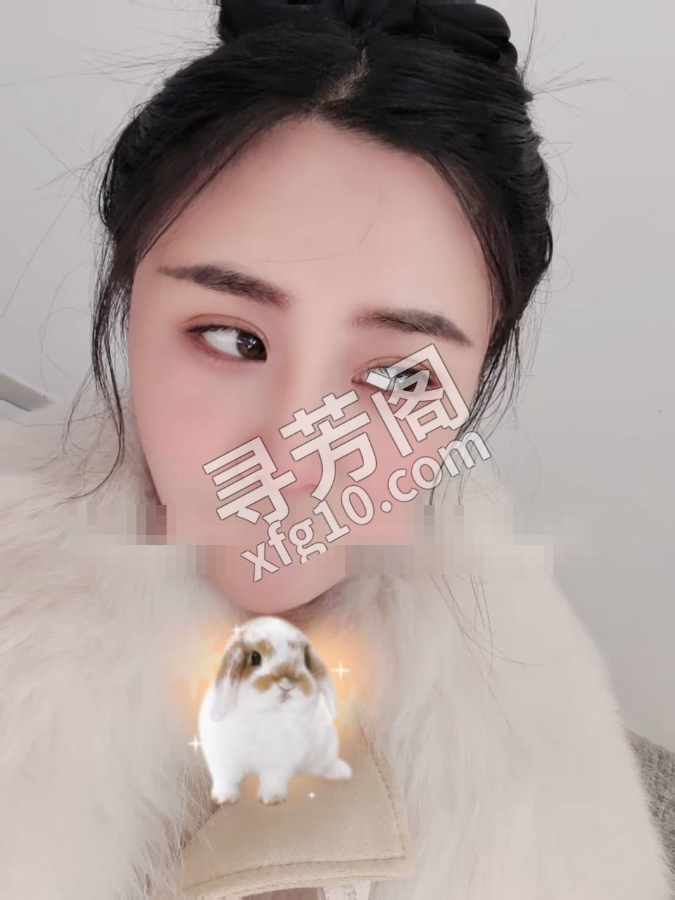 包河 500 2