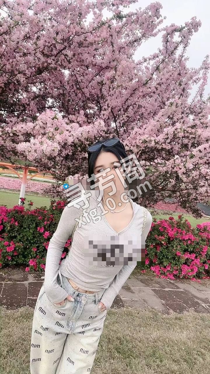 成都楼凤 2