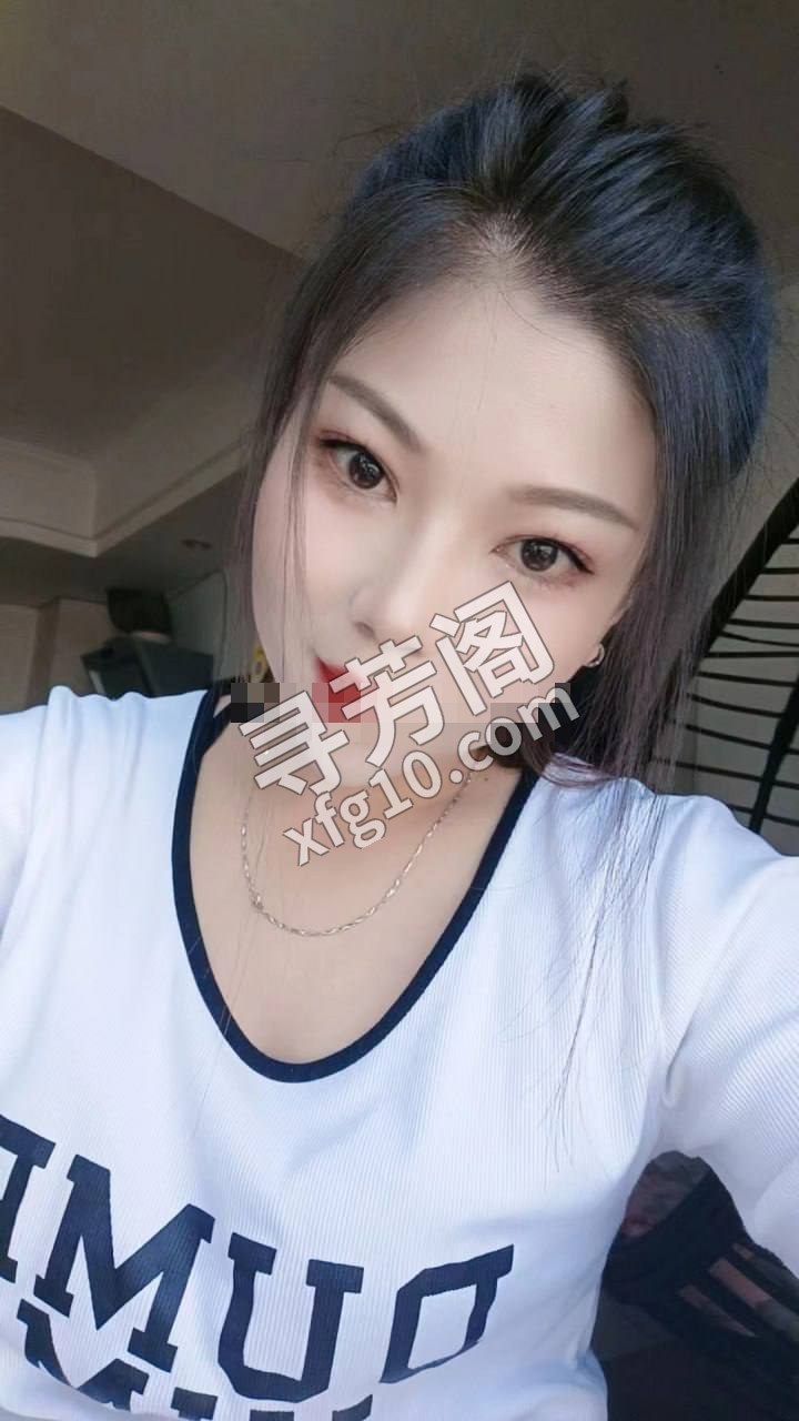 哈尔滨楼凤 3