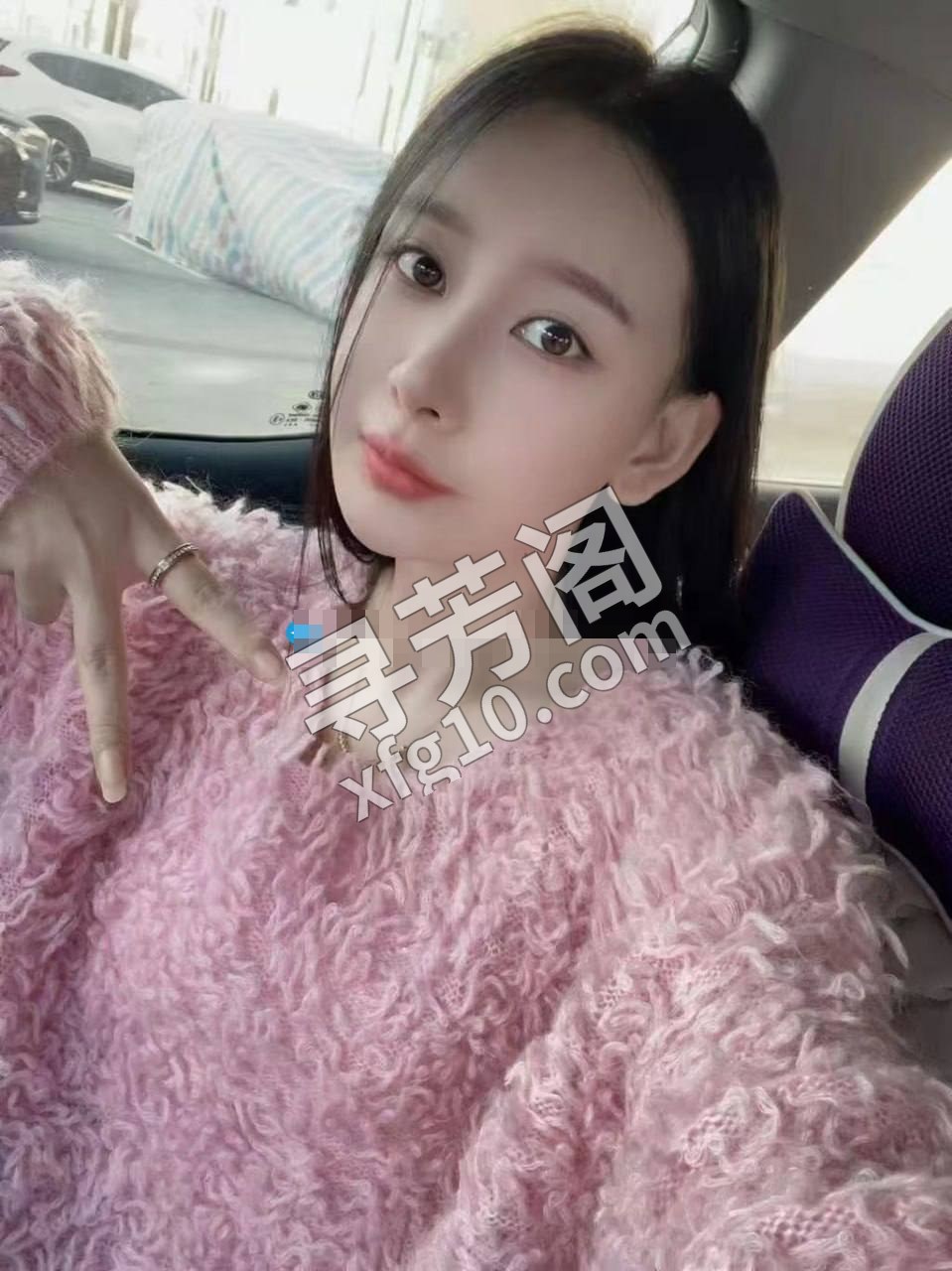 石家庄裕华楼凤 3