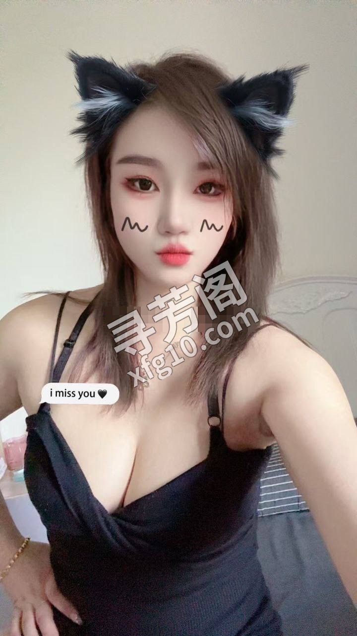 大朗 400 2