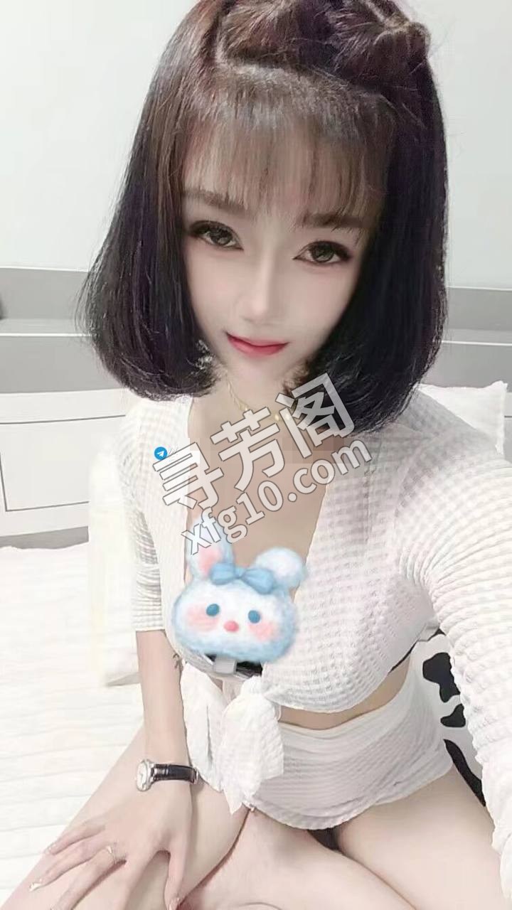 白云 400 2