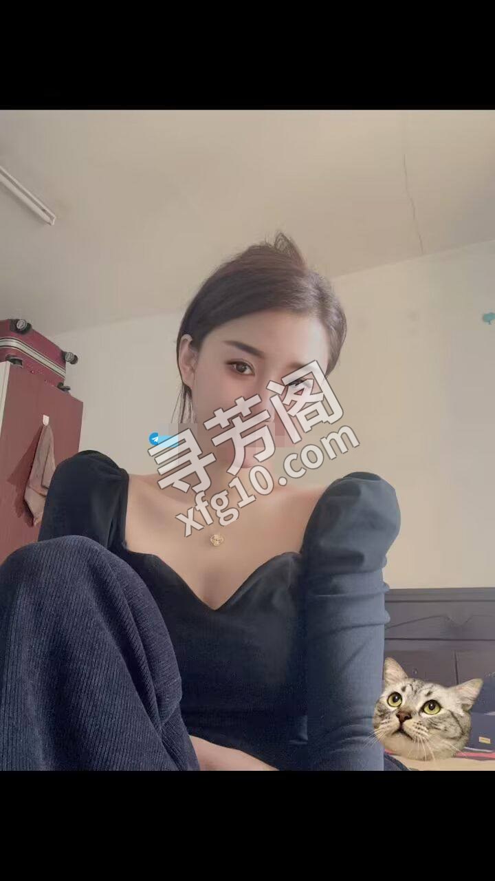www 绿园 2
