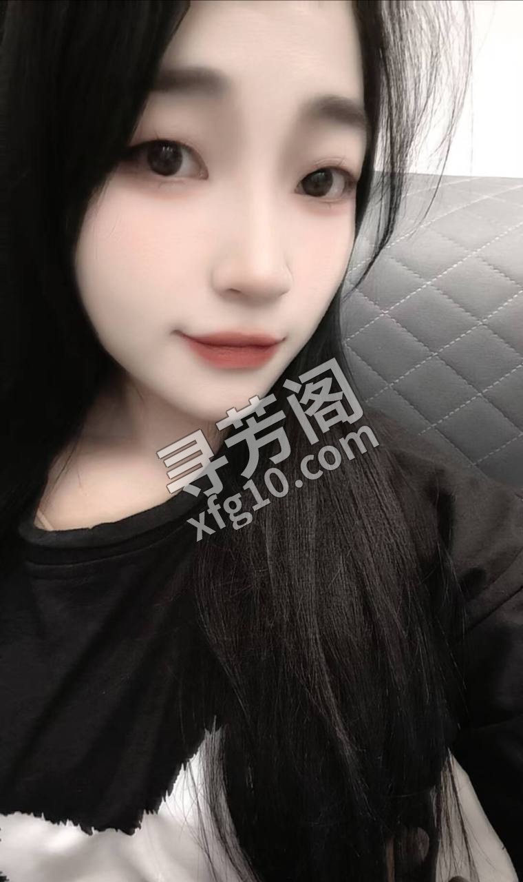 象湖 6 2