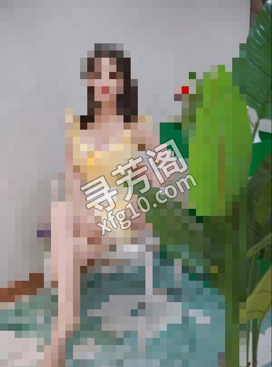 渝中 50 2