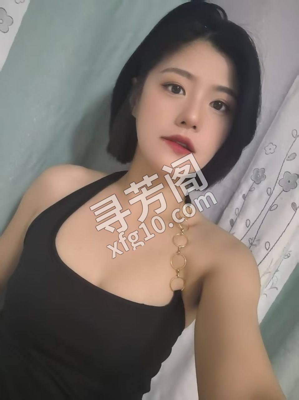 郑州金水楼凤 3