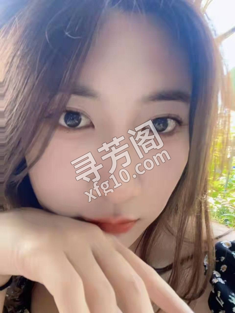 鄂尔多斯鄂尔多斯市东胜楼凤 2
