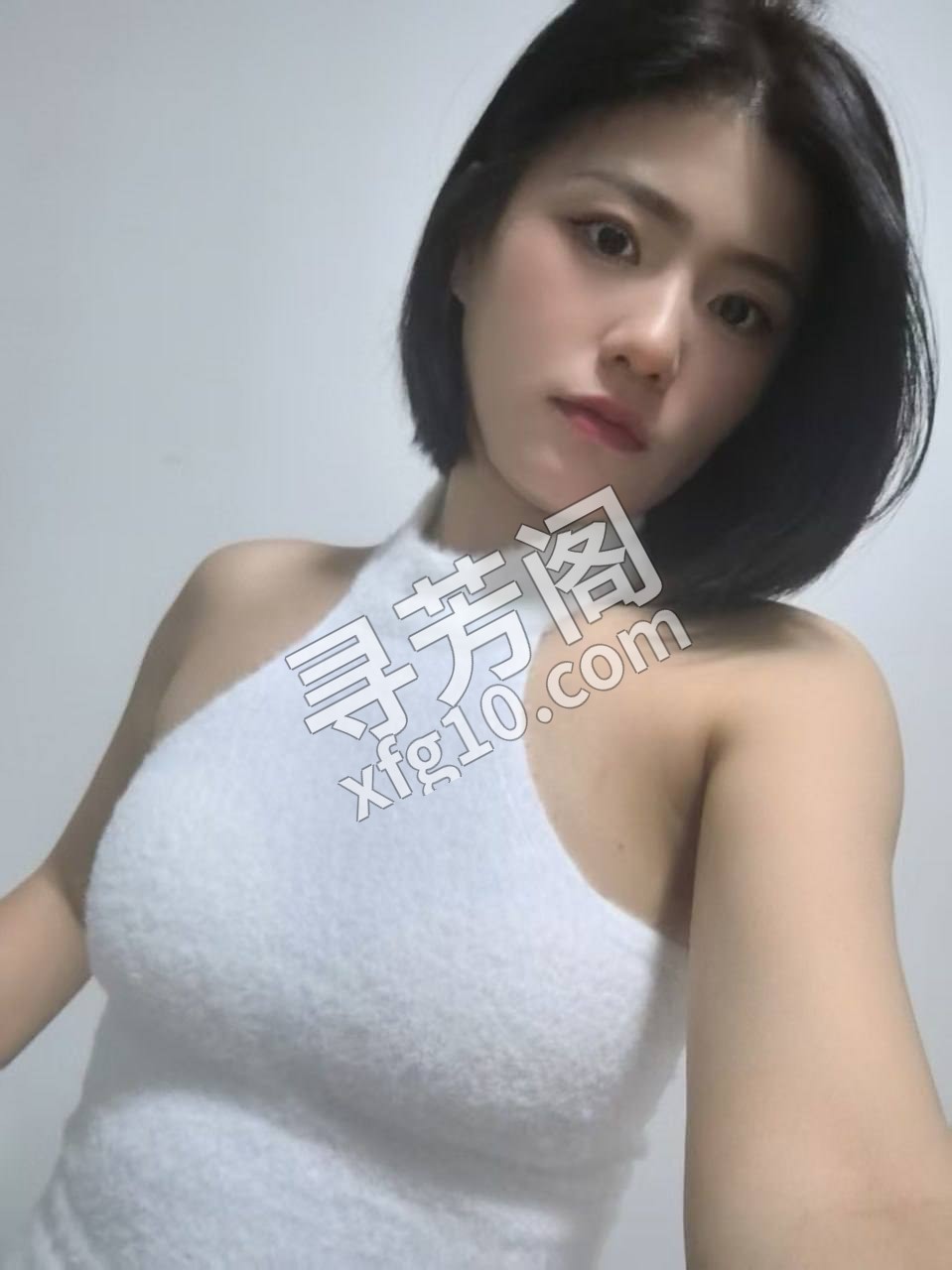 郑州金水楼凤 3