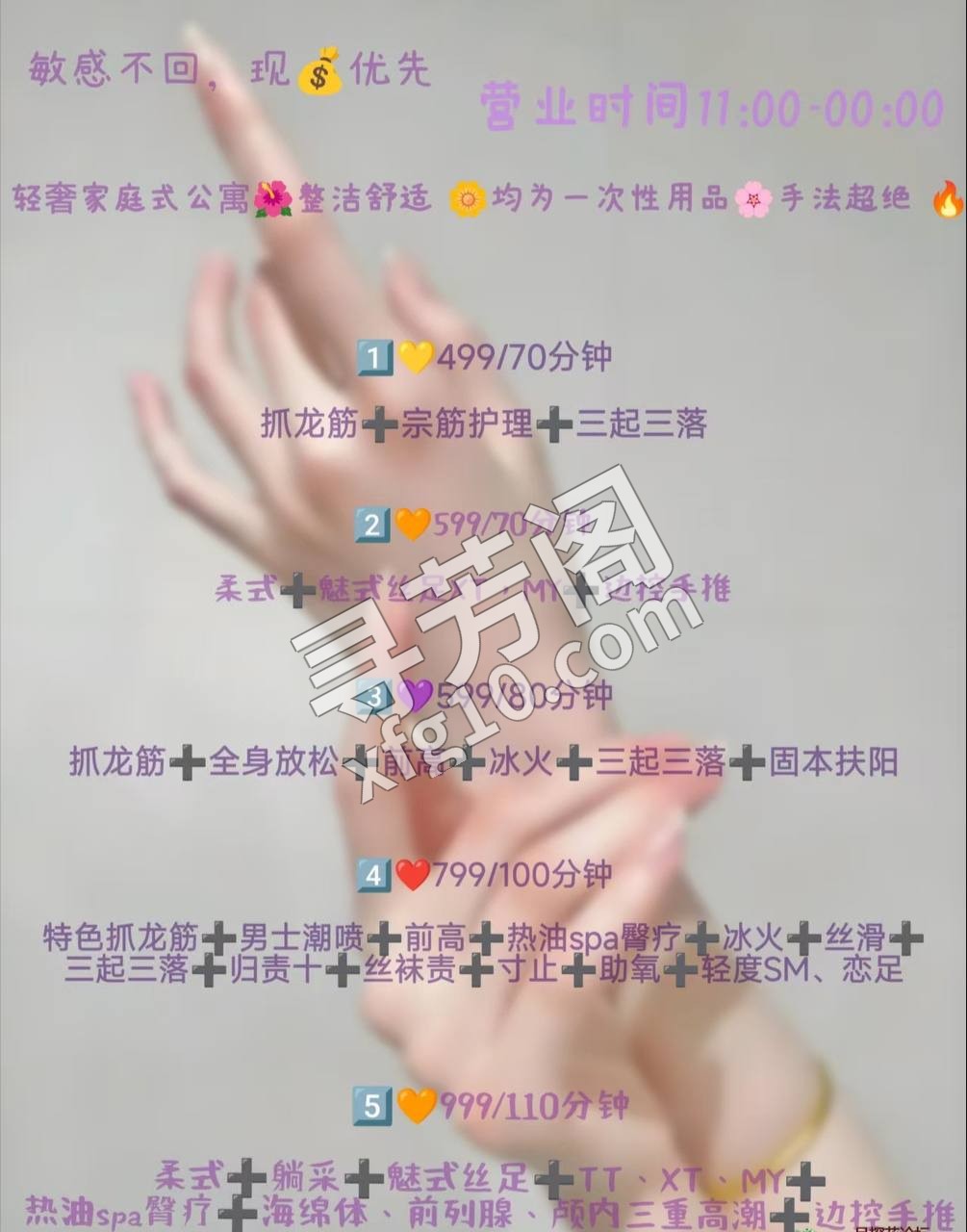 成都天府新楼凤 2