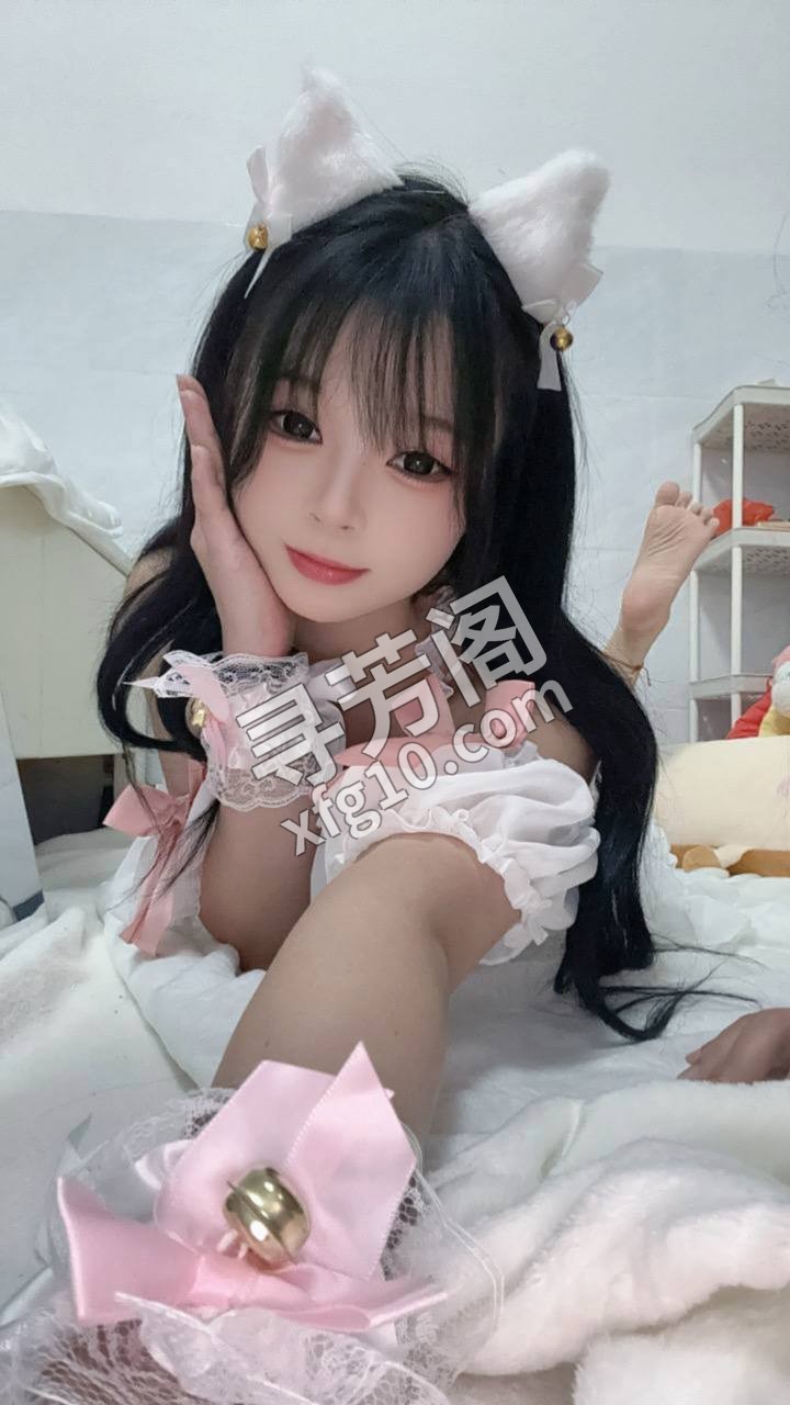 东莞东城楼凤 2