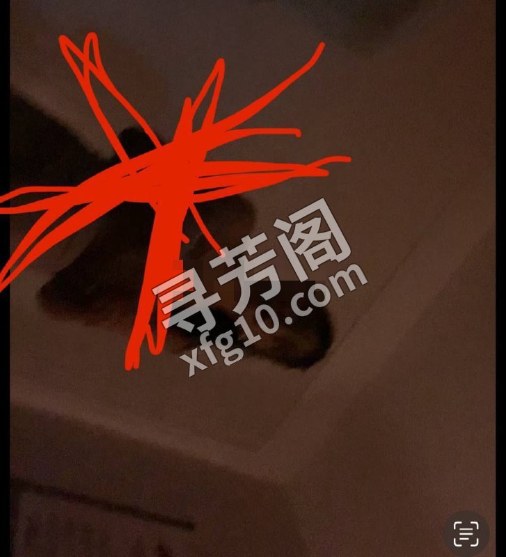 镇江楼凤 2