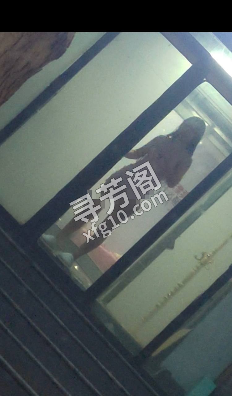 石家庄楼凤 2