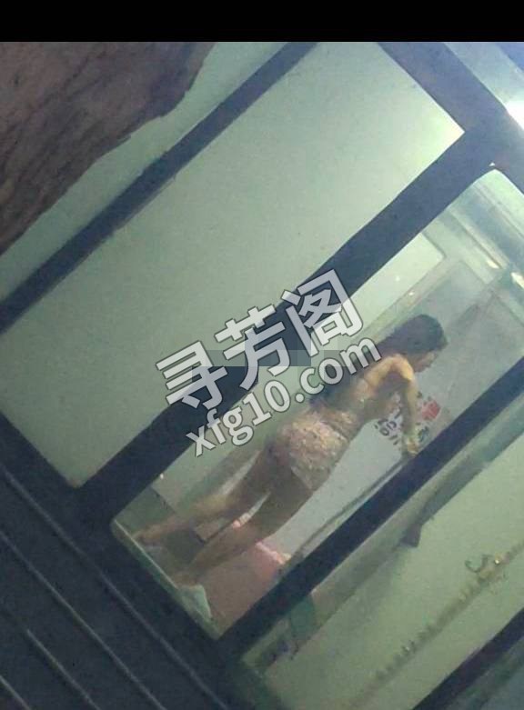 石家庄楼凤 3