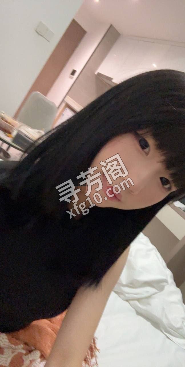 绍兴楼凤 3