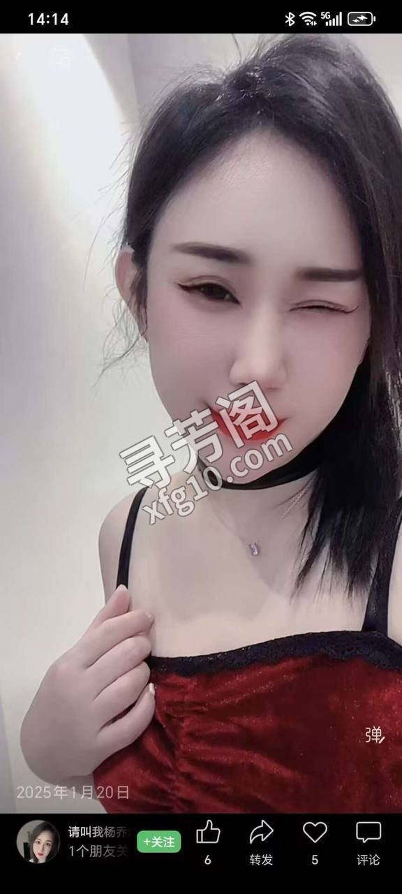 北京丰台楼凤 2