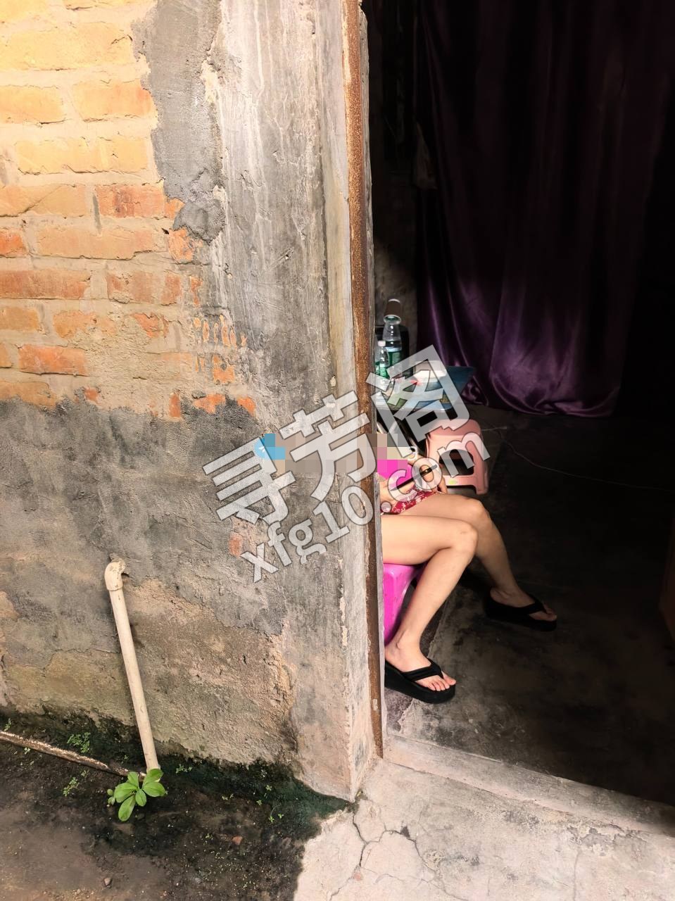 地图导航刘家墩，目的地四周巷子，常平刘家墩老牌小巷子，地方极其隐蔽，环境堪忧，周围一片荔枝林，阴暗潮湿 3