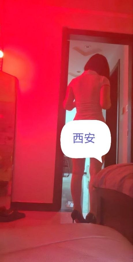 西安碑林楼凤 2