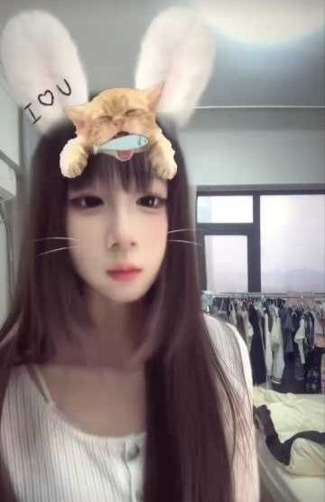 淄博楼凤 2