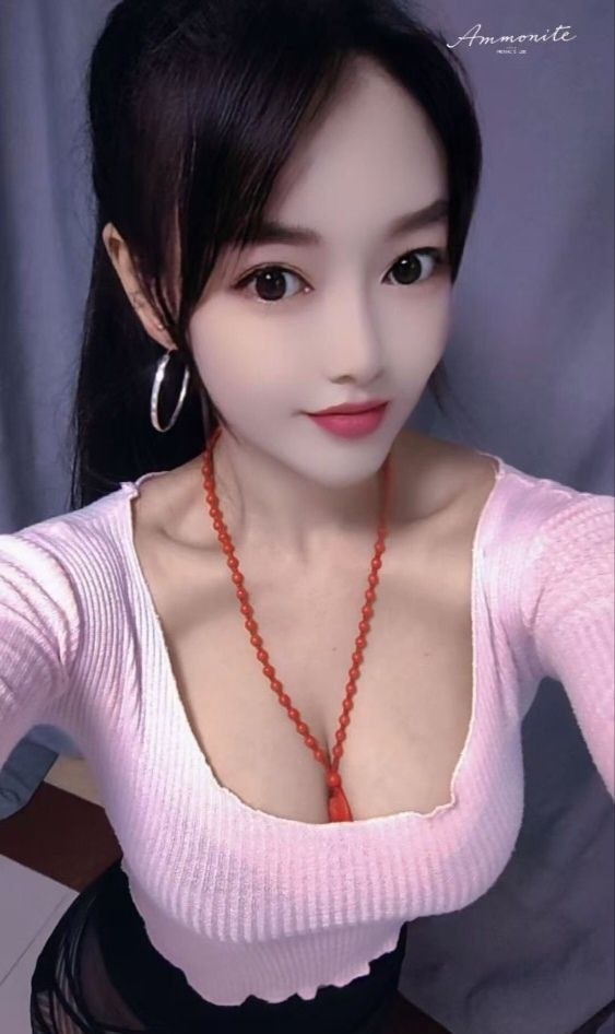 深圳南山楼凤 4