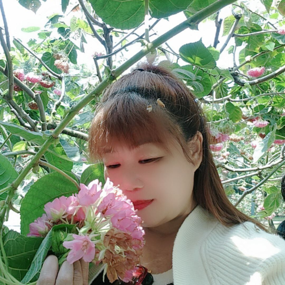 南宁楼凤 2