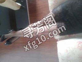 南通熟女晨曦 地方 年龄 30岁-40岁 颜值： 6分 400 项目 漫游 无套口 丝足情趣 指滑 调情 姿势 5