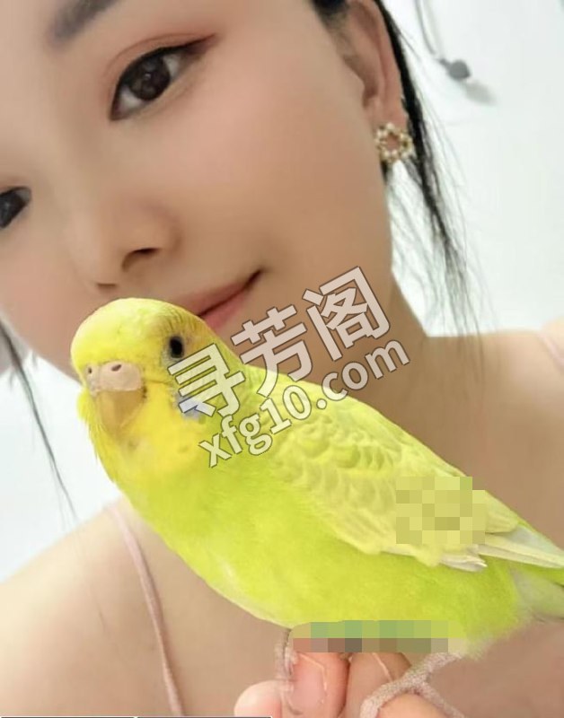 只做半套的小美女 地方 年龄 25岁-30岁 颜值： 6分 400 项目 共浴，按摩，口活，dl 2