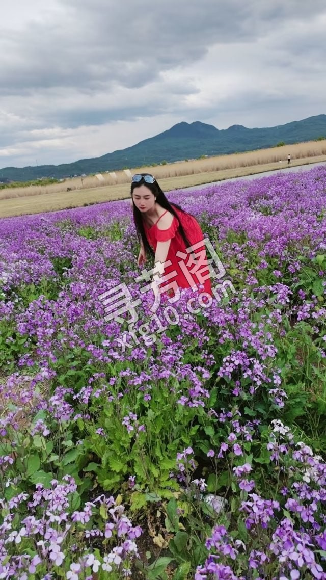 安玥项目系 地方 普陀区 年龄 25岁-30岁 颜值： 6分 700 项目 全套项目 5