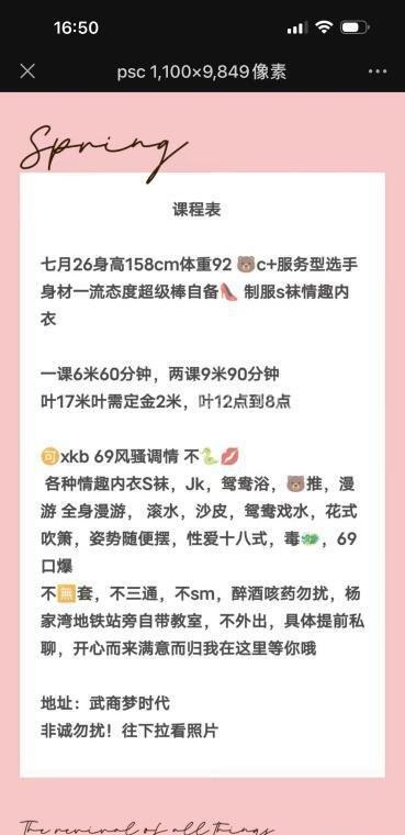 武汉楼凤 4