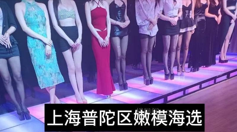 上海普陀楼凤 3