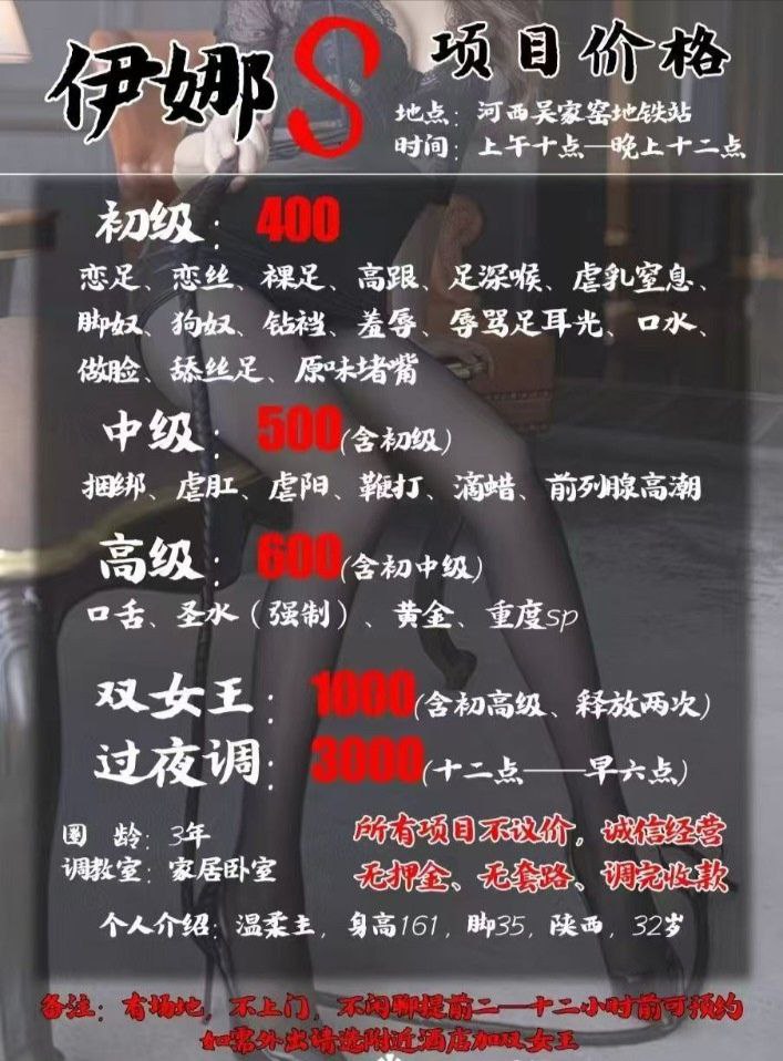 天津河西楼凤 3