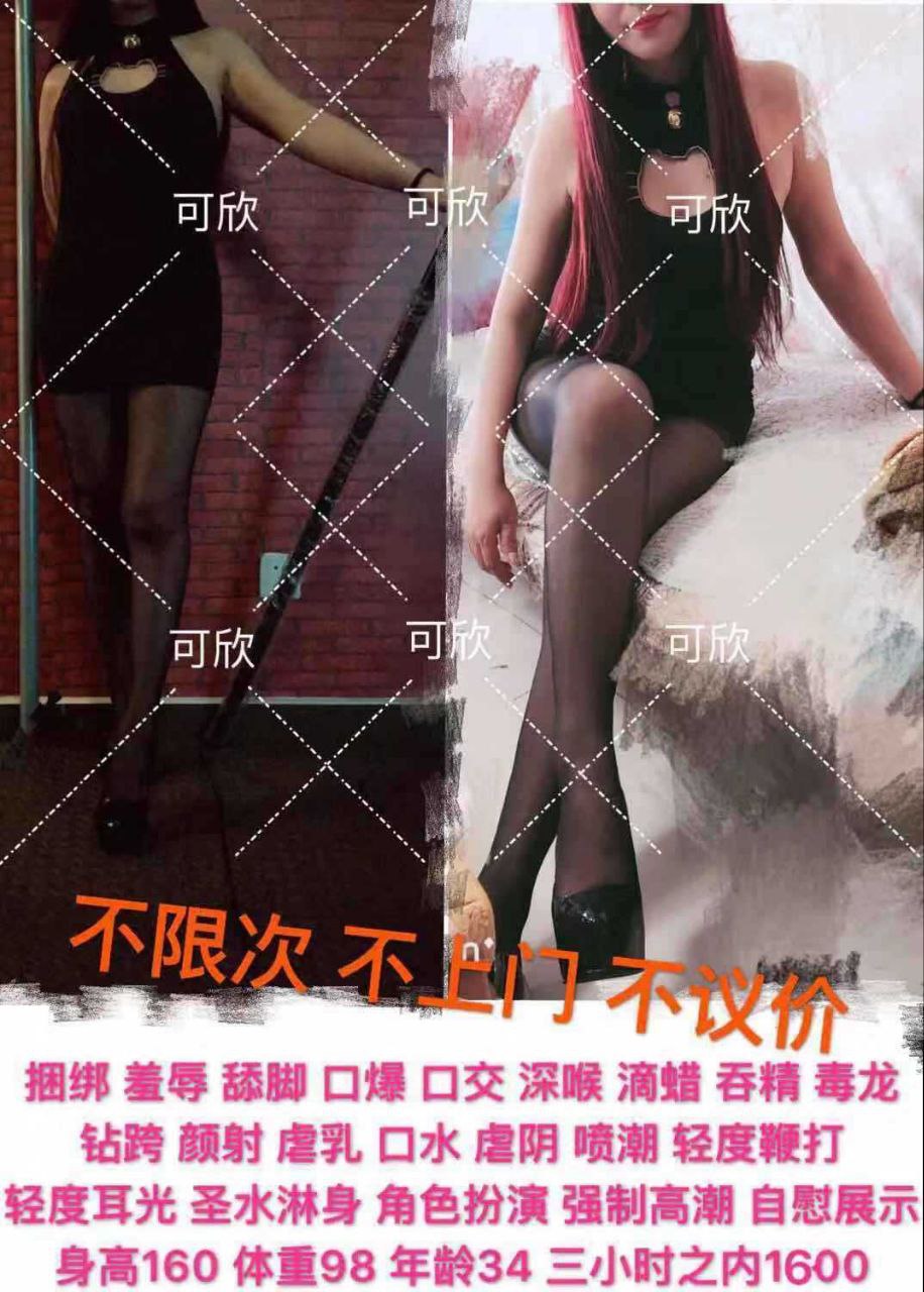 北京朝阳楼凤 2