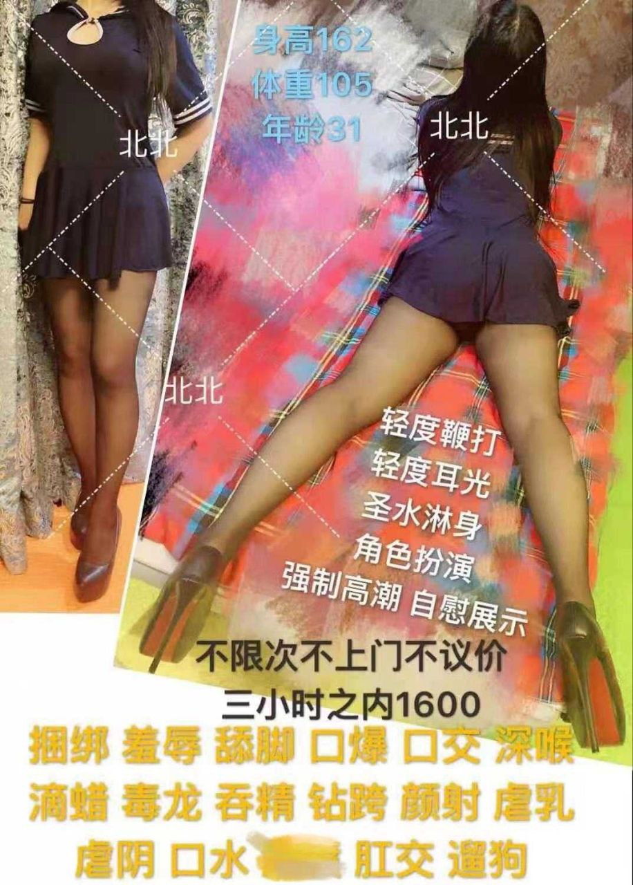 北京朝阳楼凤 3
