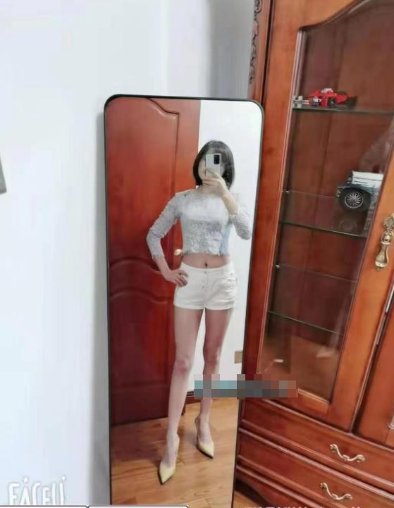 含羞草 5