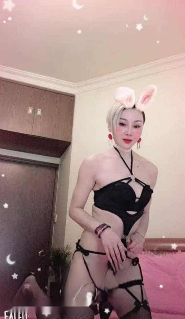 广州白云楼凤 2