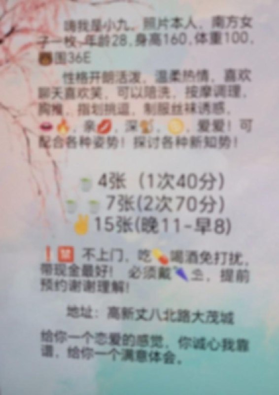 西安西安高新楼凤 3