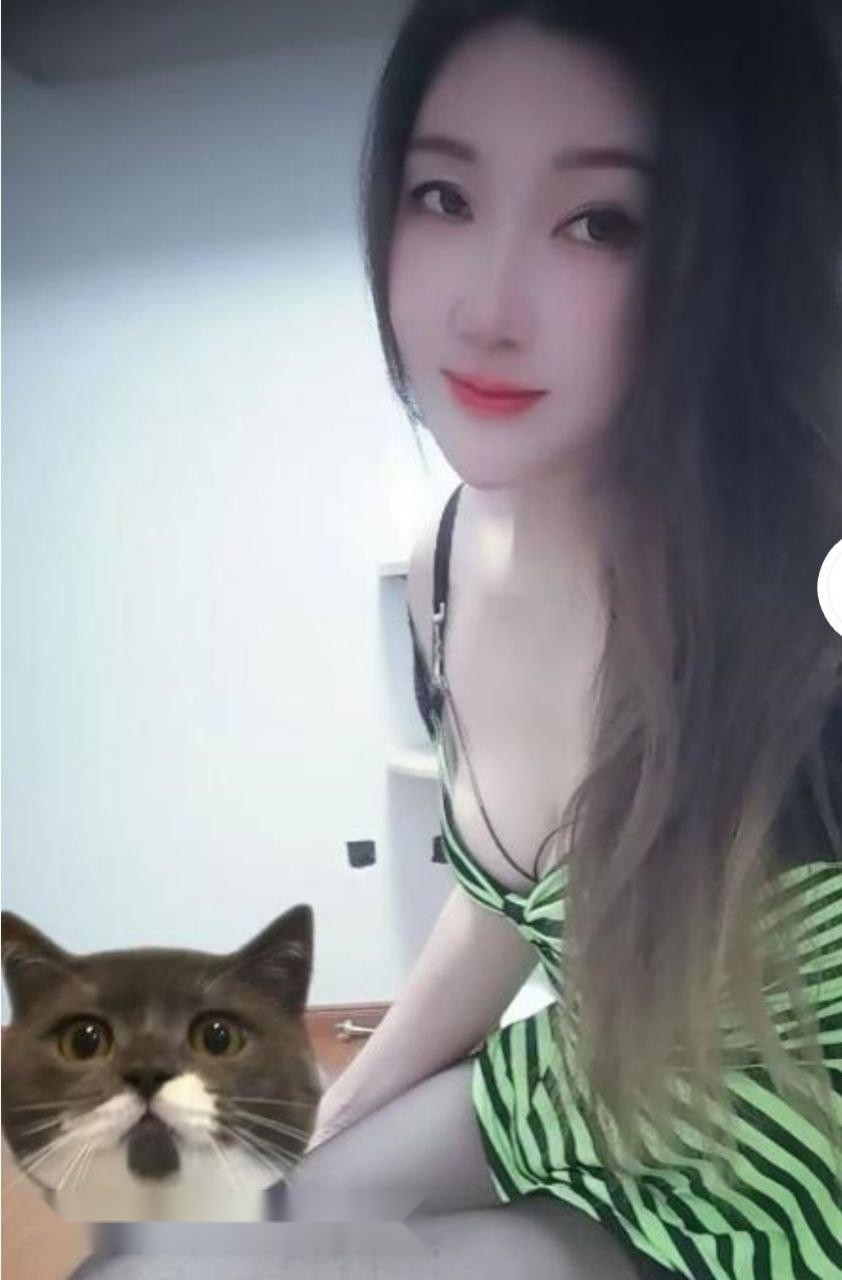 合肥楼凤 2