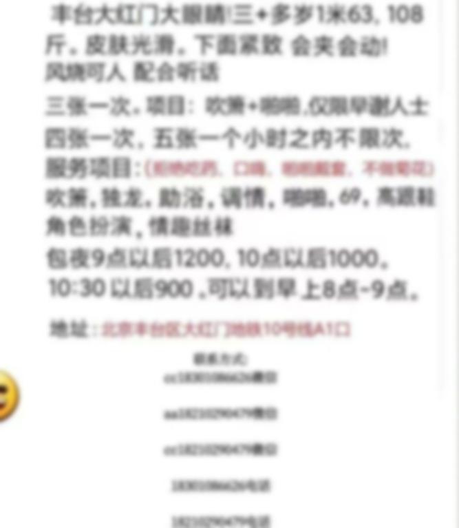 北京楼凤 2
